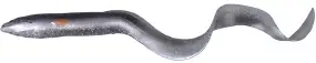 Силикон Savage Gear 3D Real Eel Loose Body 150mm 12.0g #20 Black Silver Eel (поштучно)