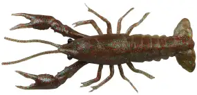 Силикон Savage Gear LB 3D Crayfish F 80mm 4.0g Magic Brown (4 шт/уп)