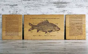Картина триптих Fish-Point «Карп»