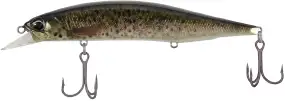 Воблер DUO Realis Jerkbait 120SP Pike 120mm 17.8g CCC3815 Brown Trout ND